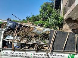 Best Commercial Junk Removal  in Riddle, OR