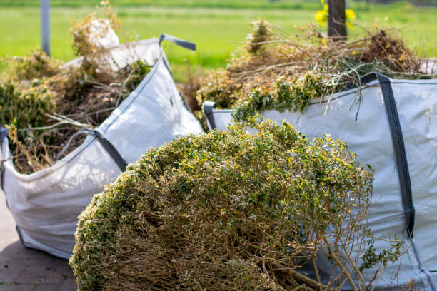 Best Demolition Debris Removal  in Riddle, OR